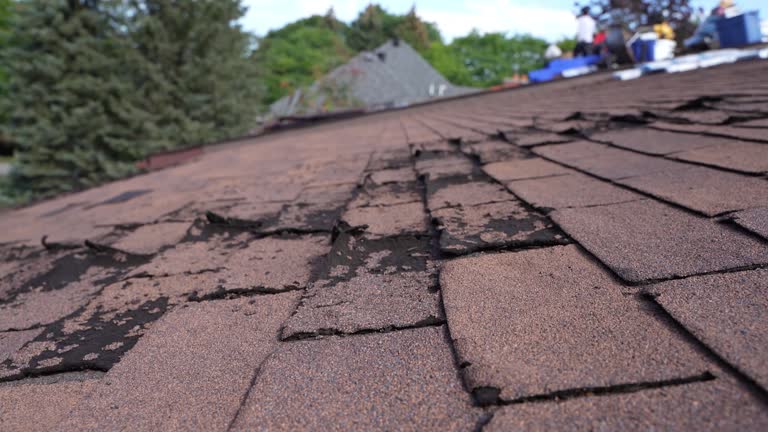 Best Rubber Roofing (EPDM, TPO)  in Niagara Falls, NY